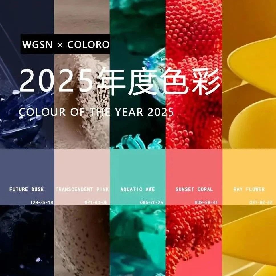2025年五大关键流行色！