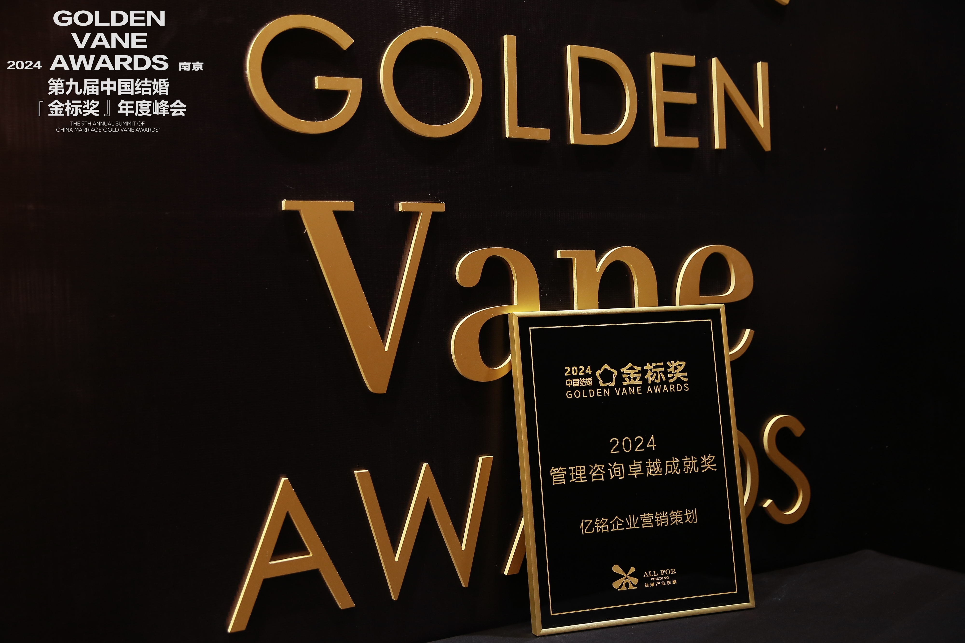 亿铭企业营销策划，荣获“2024管理咨询卓越成就奖”